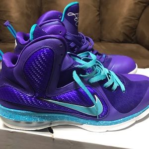 Nike air LeBron 9 “hornets” size 13